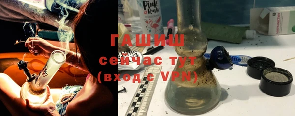 сатива Беломорск