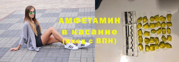 сатива Беломорск