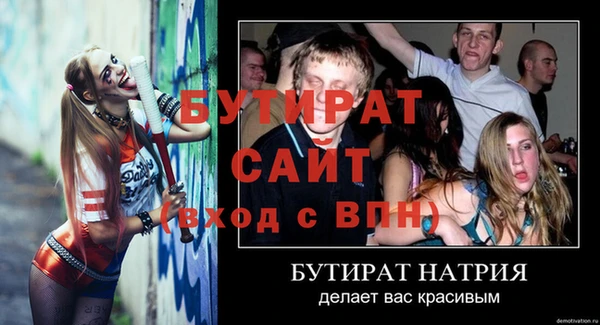 сатива Беломорск
