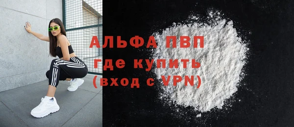 сатива Беломорск