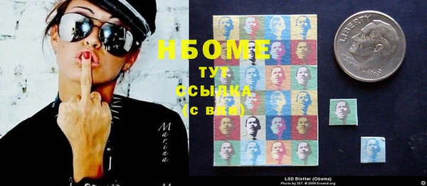 сатива Беломорск