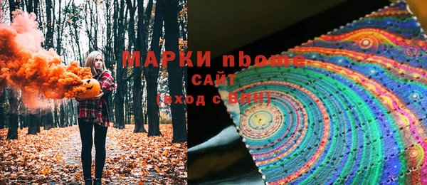 сатива Беломорск