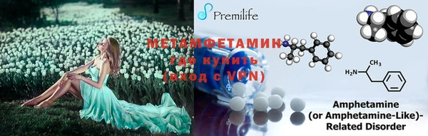 сатива Беломорск