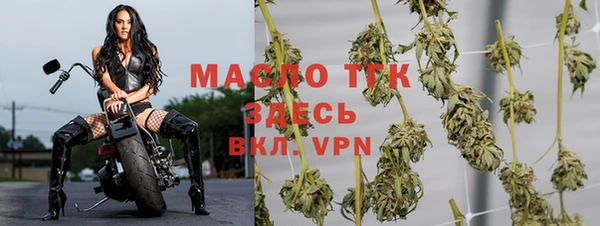 сатива Беломорск